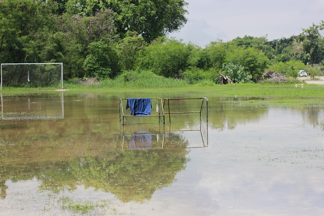 賽的關鍵時 賽的關鍵時