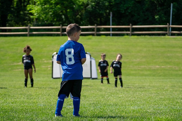 为何特里皮 为何特里皮
