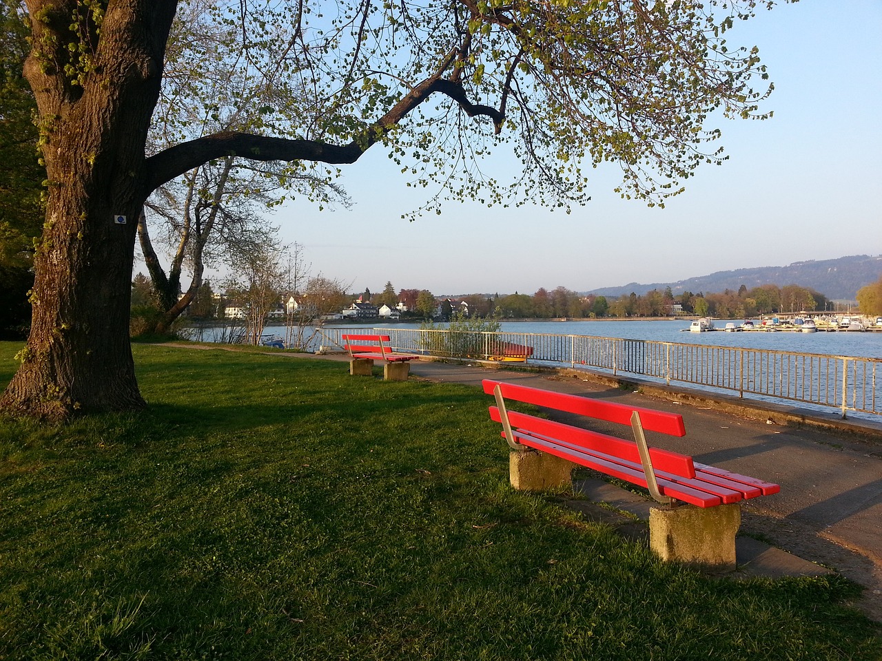 虽有不舍 虽有不舍