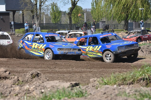 的领导下 的领导下