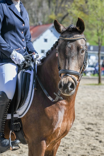 有极强自主 有极强自主